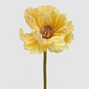 Papoila Amarela 40cm